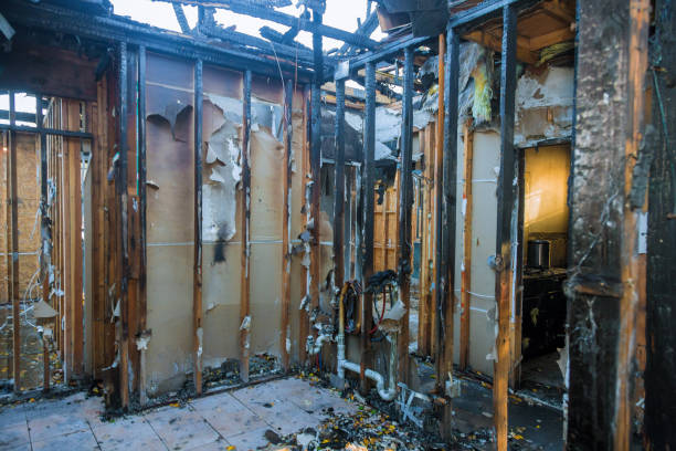 Professional Smoke Damage Removal technician working in Folsom, NJ